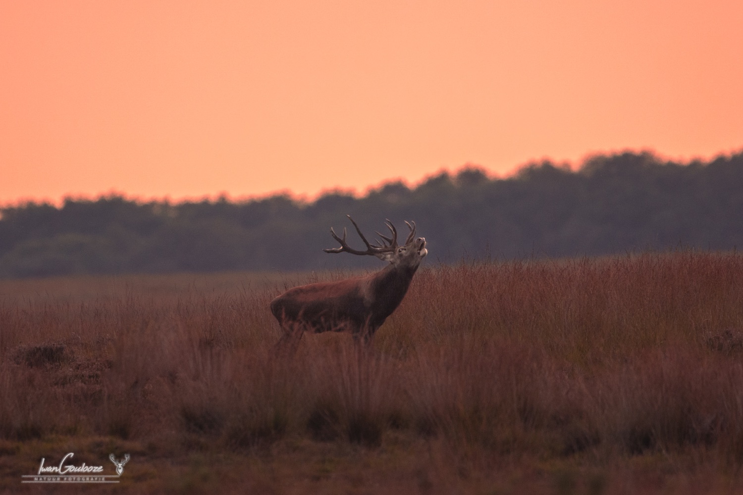 15 september 2023 190920  R2A2186